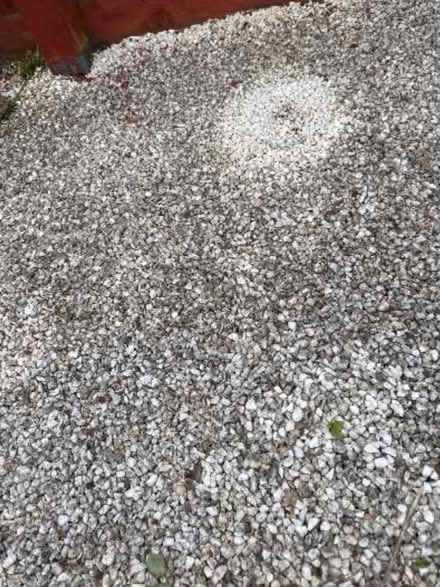 Photo of free Pea shingle (Peachcroft OX14) #2