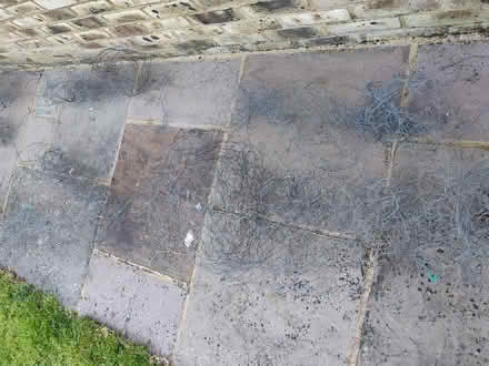 Photo of free Chicken wire (Hamstreet TN26) #1