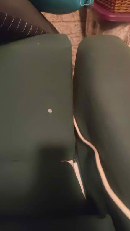 Photo of free Chaise lounge (L17 Sefton Park) #4