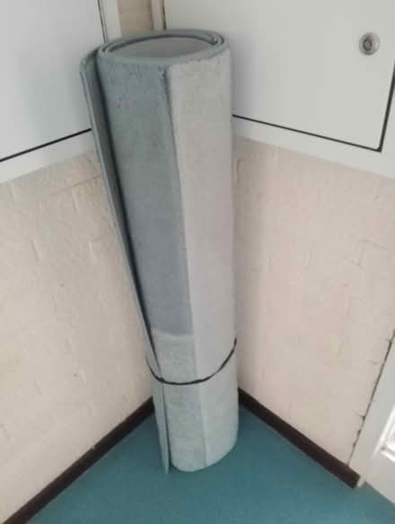 Photo of free rug (crownwood RG12) #2