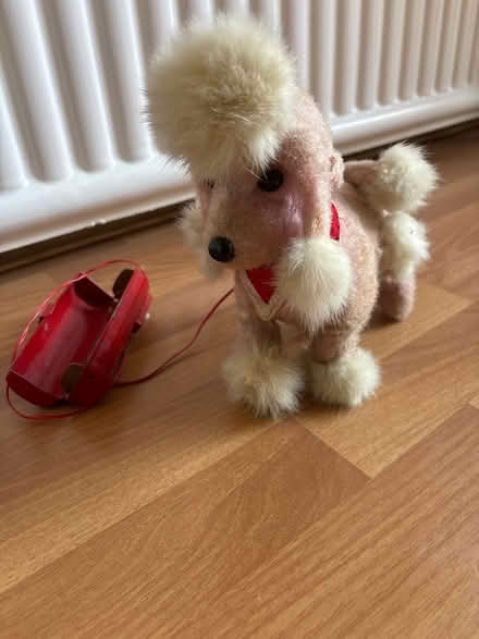 Photo of free 1960s barking elegant poodle toy (Ashford, Surrey TW15) #2