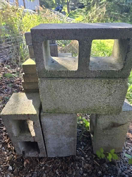 Photo of free 10 concrete paving stone 4 masonry (Skagit, Bow) #1