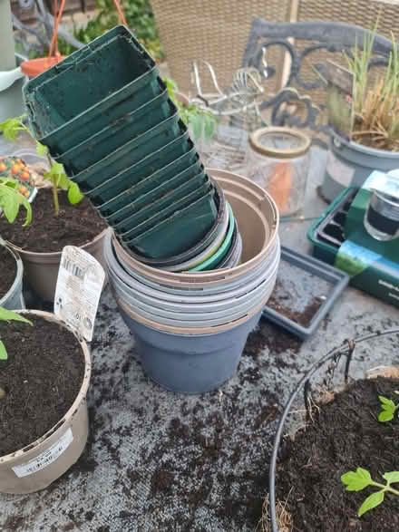 Photo of free Pots (Ashford TW15) #1