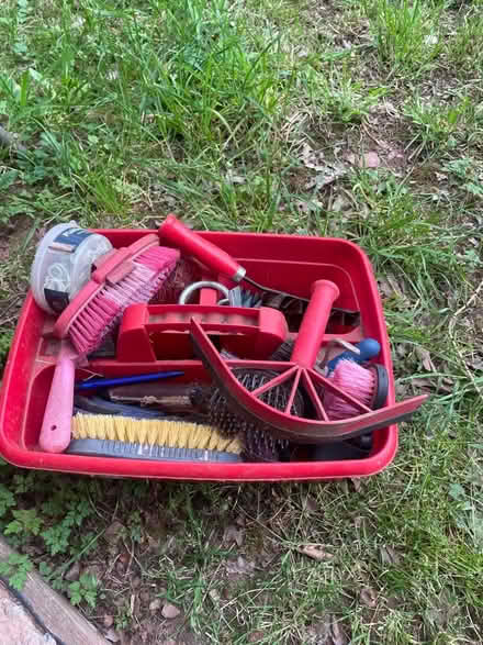 Photo of free Pony kit (Linton HR9) #1