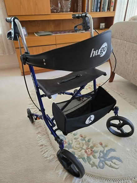 Photo of free 2 Hugo Sidekick Walkers (Little Mountain - Main St) #1