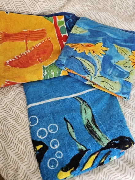 Photo of free Beach towels (Littlemore OX4) #1