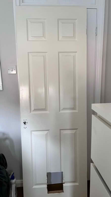 Photo of free Internal door (Arnold, NG5) #1