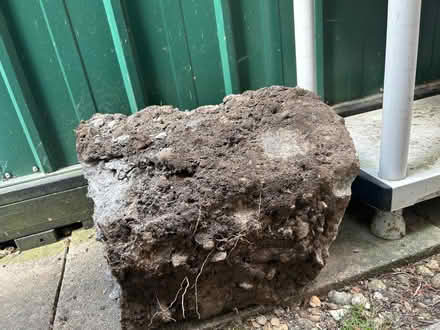 Photo of free Hardcore (Clayton Green PR6) #4