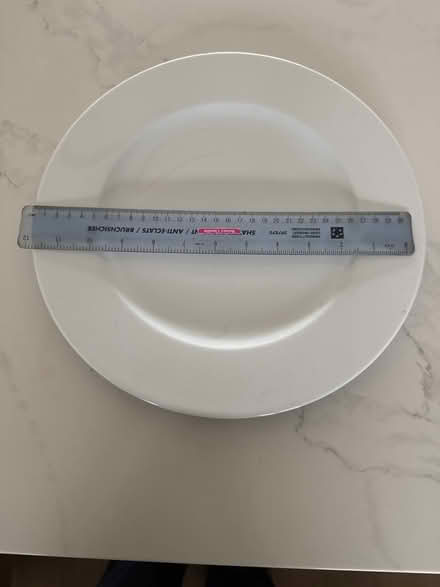 Photo of free Dinner plates 32cm (Radnage HP14) #2