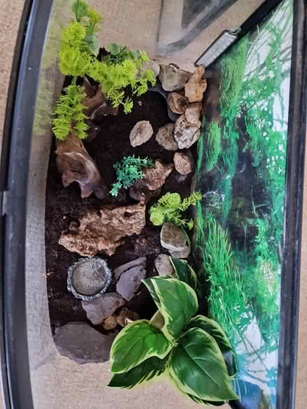 Photo of free Tank used for invertebrates (Lincoln LN2) #2