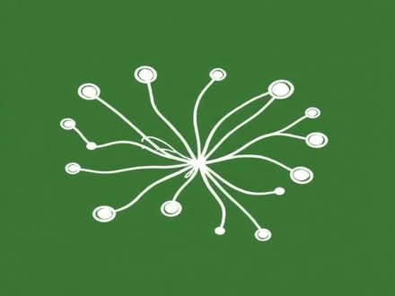 Photo of free Acanthus Mollis (Wimbledon Village SW19) #1