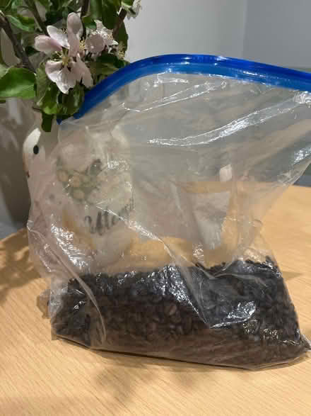 Photo of free Fresh coffee beans (Baguley M23) #1