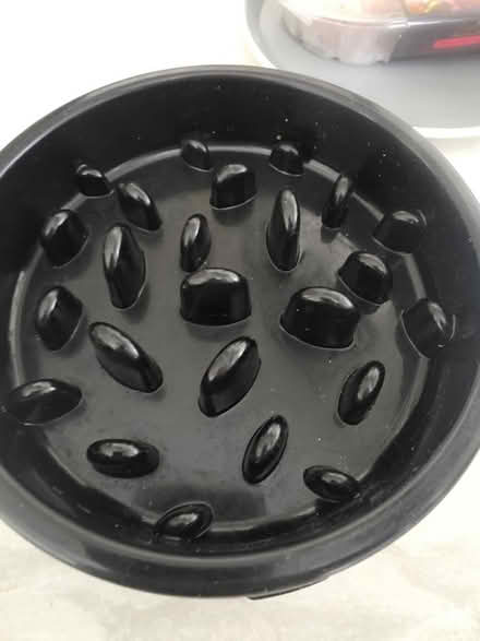 Photo of free Slow dog feeder bowl (Shrewsbury) #2