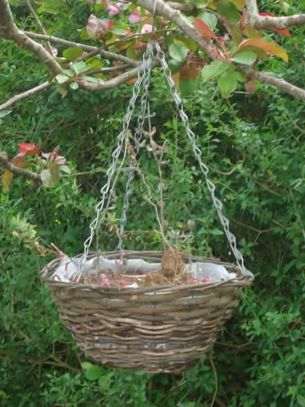 Photo of free Wicker hanging basket for plants (Willingdon BN20) #1