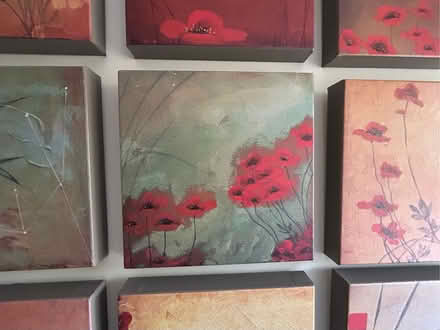 Photo of free 9-piece canvas art, poppy scenes (Barkham RG41) #2