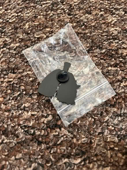 Photo of free Pin badges (Skerton LA1) #4