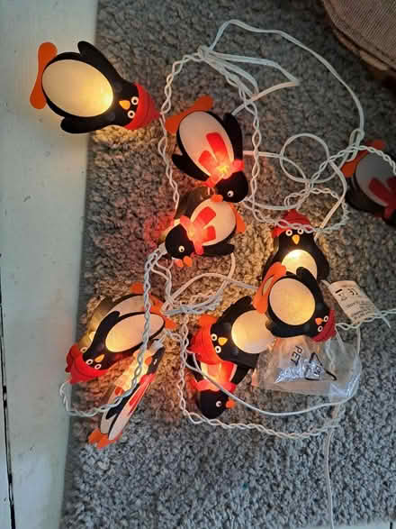 Photo of free Penguin lights string (Cambridge CB4) #1