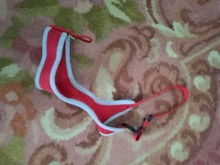 Photo of free small dog harness 20874 #1