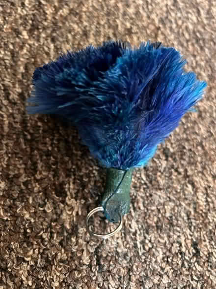 Photo of free Feather keyring (Skerton LA1) #1