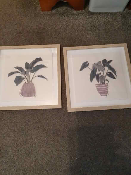 Photo of free Puctures (Stewkley) #2