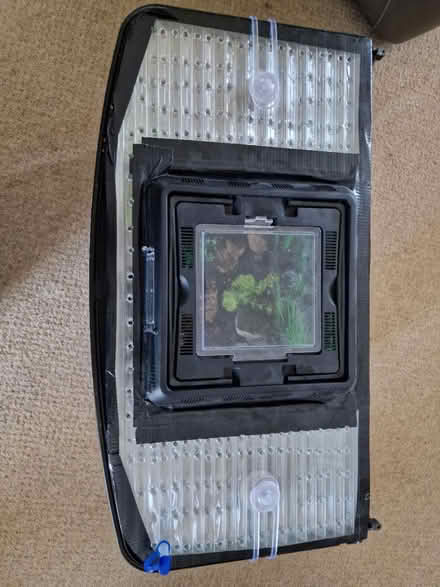 Photo of free Tank used for invertebrates (Lincoln LN2) #4