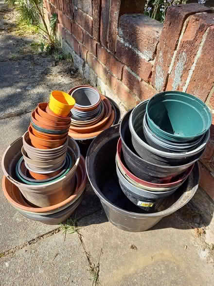 Photo of free Flower pots (Enfirld EN1) #1