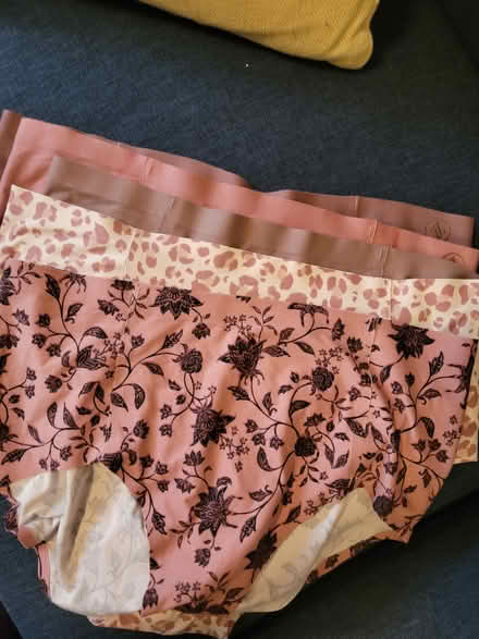 Photo of free 5 pairs new women's undies (North Oakland) #1