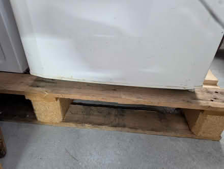 Photo of free Tall fridge (Yealand Redmayne LA5) #2