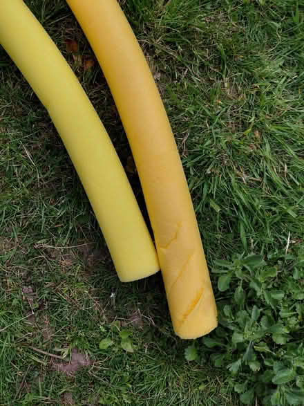 Photo of free 2 swimming noodles (Springfield SY2) #2