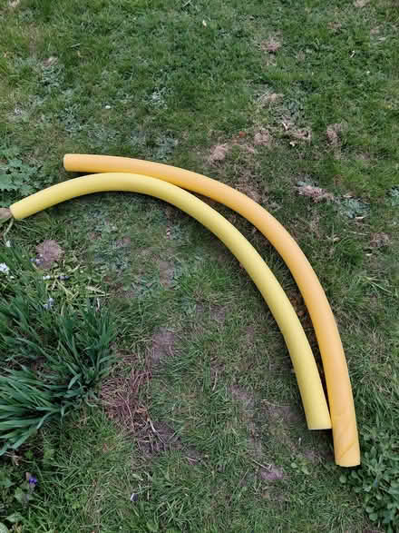Photo of free 2 swimming noodles (Springfield SY2) #1