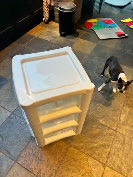 Photo of free Plastic drawer unit (South Woodford E18) #3