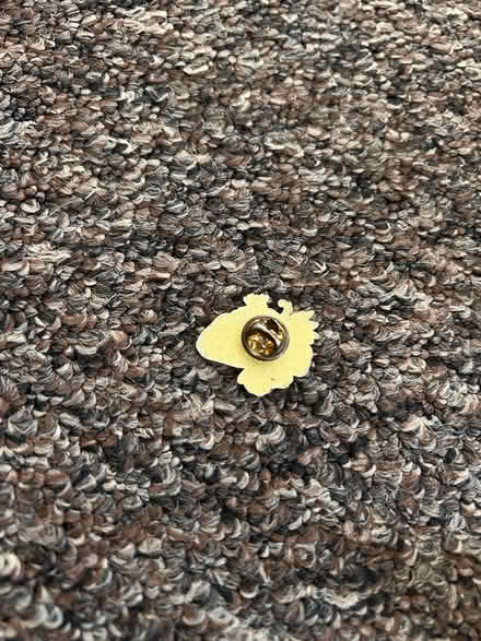 Photo of free Pin badges (Skerton LA1) #2