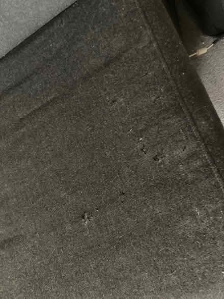 Photo of free Muji Sofa Bed (Southgate, N14) #4