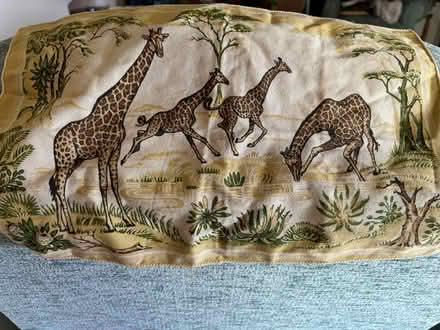 Photo of free Giraffe …tray cloth? (Stone Cross BN23) #1