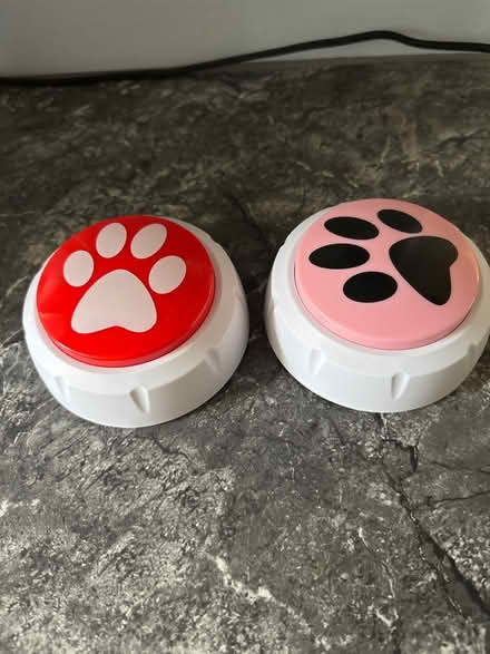 Photo of free 2 pet talking buttons (Drexel Hill) #1