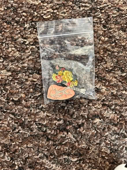 Photo of free Pin badges (Skerton LA1) #3