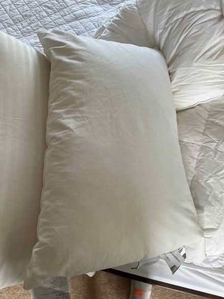 Photo of free Pillow (Oxford OX1) #2
