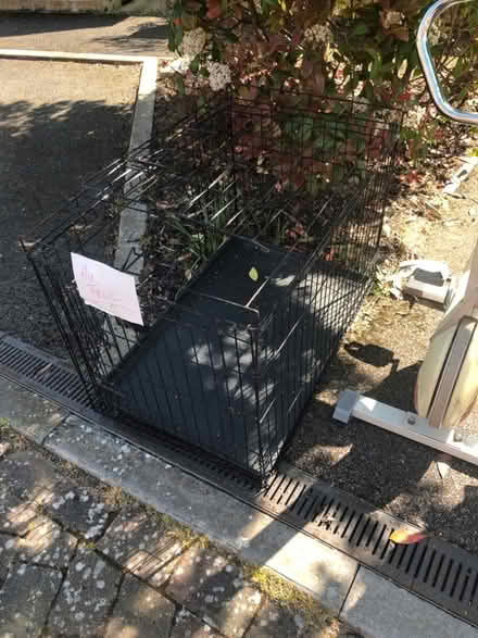 Photo of free Dog crate, vintage working exercise bike, camping chair (Mickleton GL55) #2