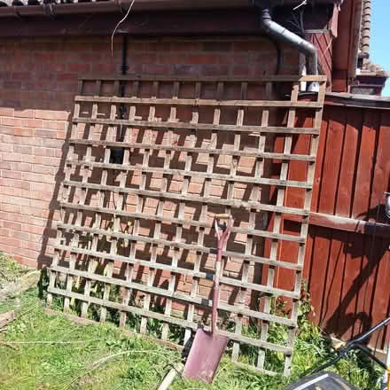 Photo of free Trellis (Spixworth NR10) #1
