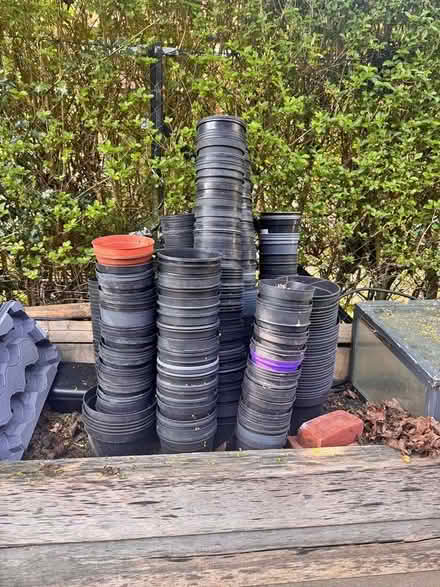 Photo of 5" Plastic Garden Flower Pots (Bracknell Forest RG12) #1