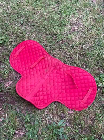 Photo of free Pony kit (Linton HR9) #3