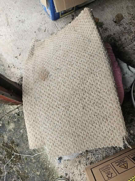 Photo of free Very old carpet 2m x 1m suitable allotment (Northgate Village CH2) #1