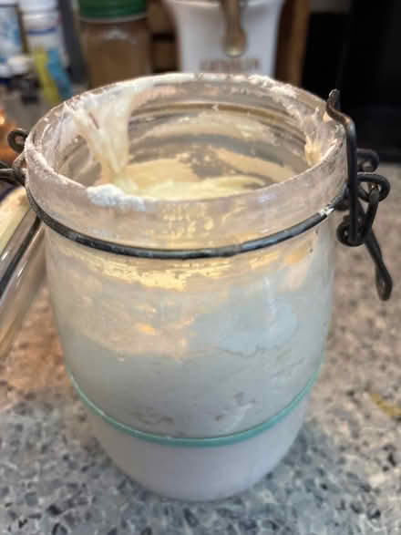 Photo of free Sourdough starter (16 Street & First Ave Manhatta) #1