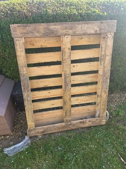 Photo of free Pallet (Sn2 5lw) #1