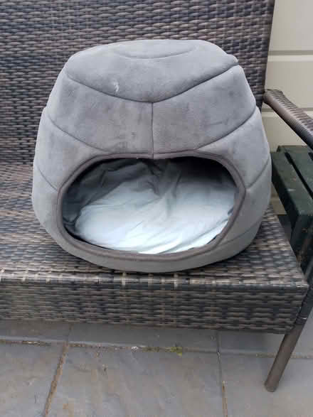 Photo of free Pet basket (Waltham Abbey EN8) #2