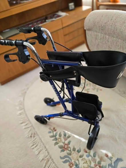 Photo of free 2 Hugo Sidekick Walkers (Little Mountain - Main St) #2