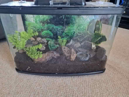 Photo of free Tank used for invertebrates (Lincoln LN2) #1
