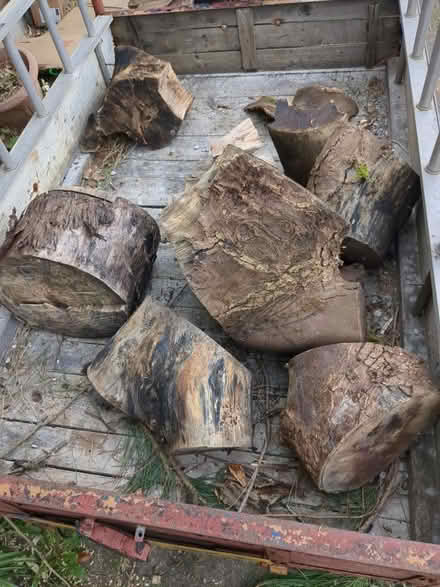 Photo of free Wood (Gatley SK8) #1