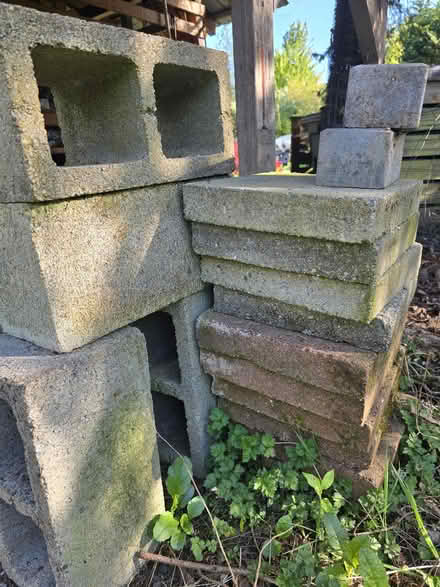 Photo of free 10 concrete paving stone 4 masonry (Skagit, Bow) #2