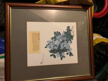 Photo of free 3 Photo frames (Eve Hill DY1) #3